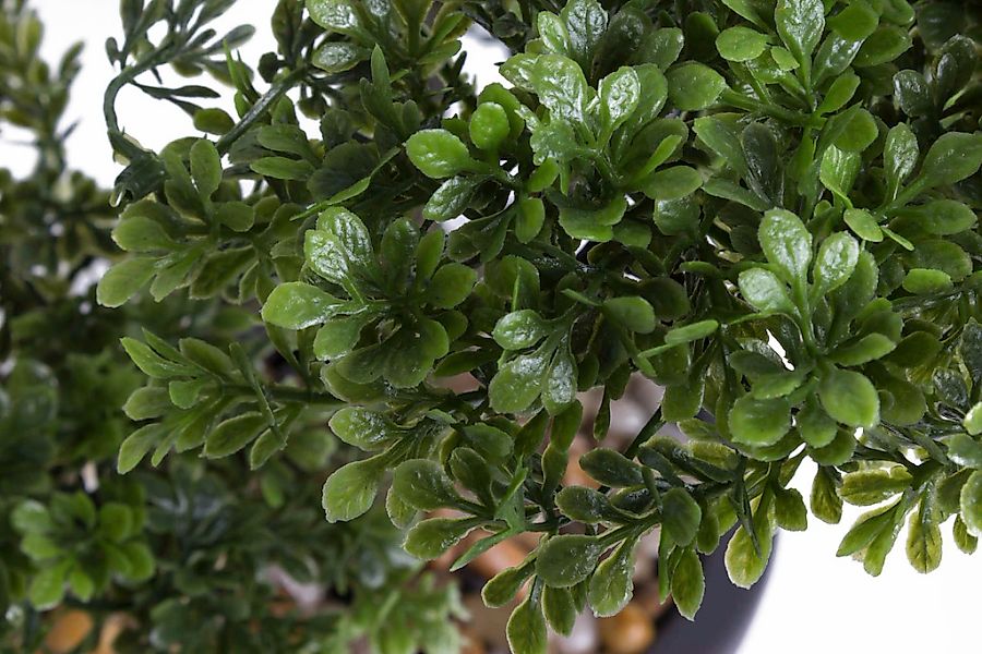 Botanic-Haus Kunstbonsai "Ficus Bonsai" günstig online kaufen