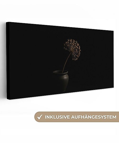 OneMillionCanvasses® Leinwandbild Panorama Zwiebel - Getrocknet - Vase - Sc günstig online kaufen
