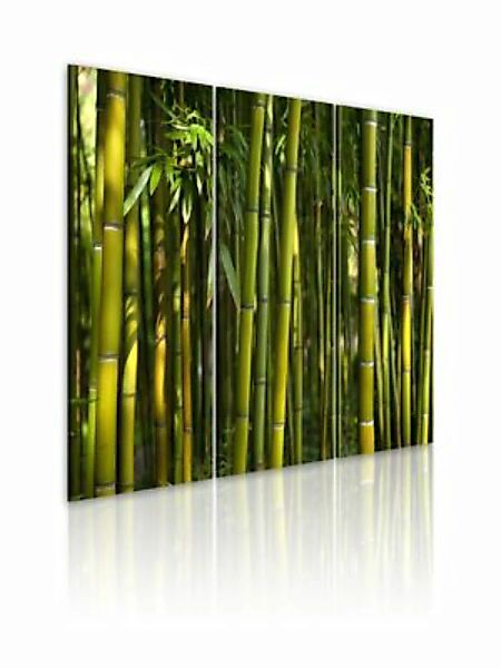 artgeist Wandbild Bambus in Grün gelb/grün Gr. 60 x 40 günstig online kaufen