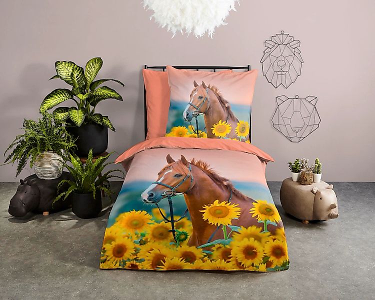 good morning Kinderbettwäsche "Beauty Horse Sunflower" 2 Stk. tlg. Baumwoll günstig online kaufen
