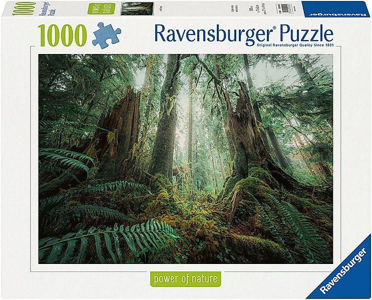 Ravensburger Puzzle power of nature, Faszinierender Wald, 1000 Puzzleteile, günstig online kaufen