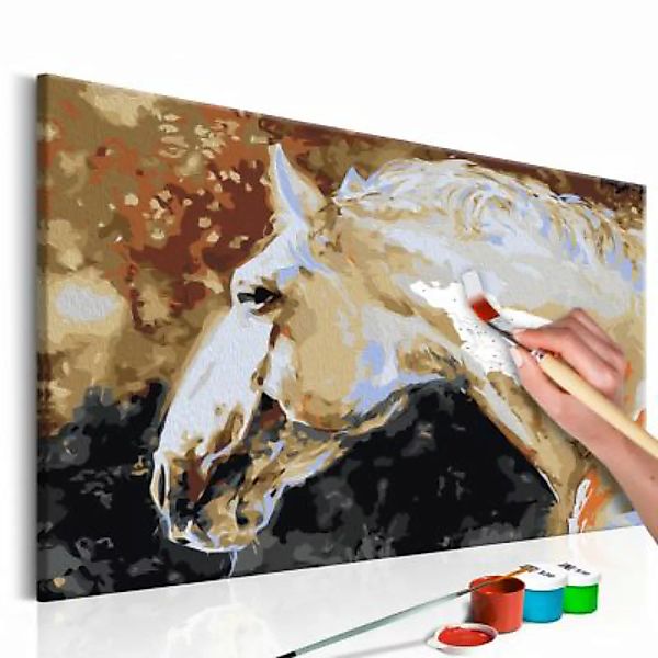 artgeist Malen nach Zahlen Weißes Pferd mehrfarbig Gr. 60 x 40 günstig online kaufen