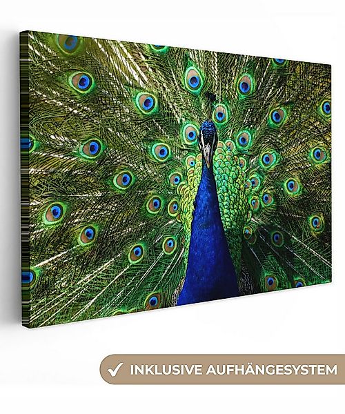 OneMillionCanvasses® Leinwandbild Pfau - Federn - Augen - Blau, Fotodruck ( günstig online kaufen