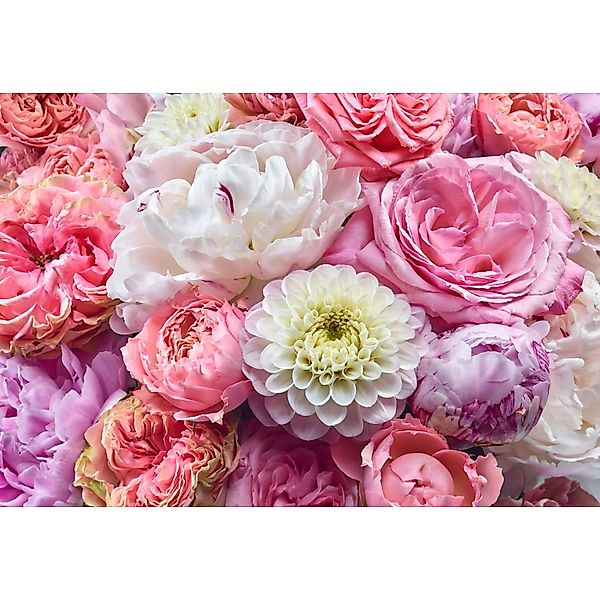 Komar Fototapete Vibrant Spring Rosa 368 x 254 cm 610945 günstig online kaufen