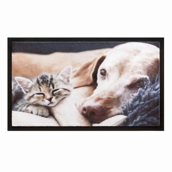 HTI-Living Fußmatte 40x60 cm Image Kitten bunt Gr. 40 x 40 günstig online kaufen