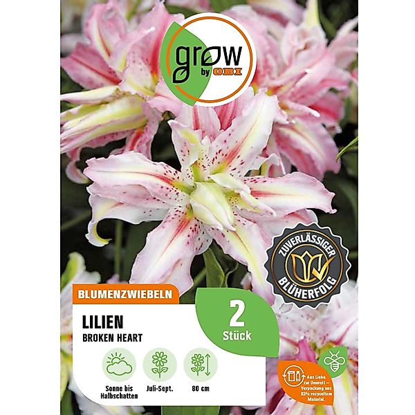 GROW by OBI Lilie Oriental Broken Heart Höhe ca. 80 cm Lilium oriental günstig online kaufen