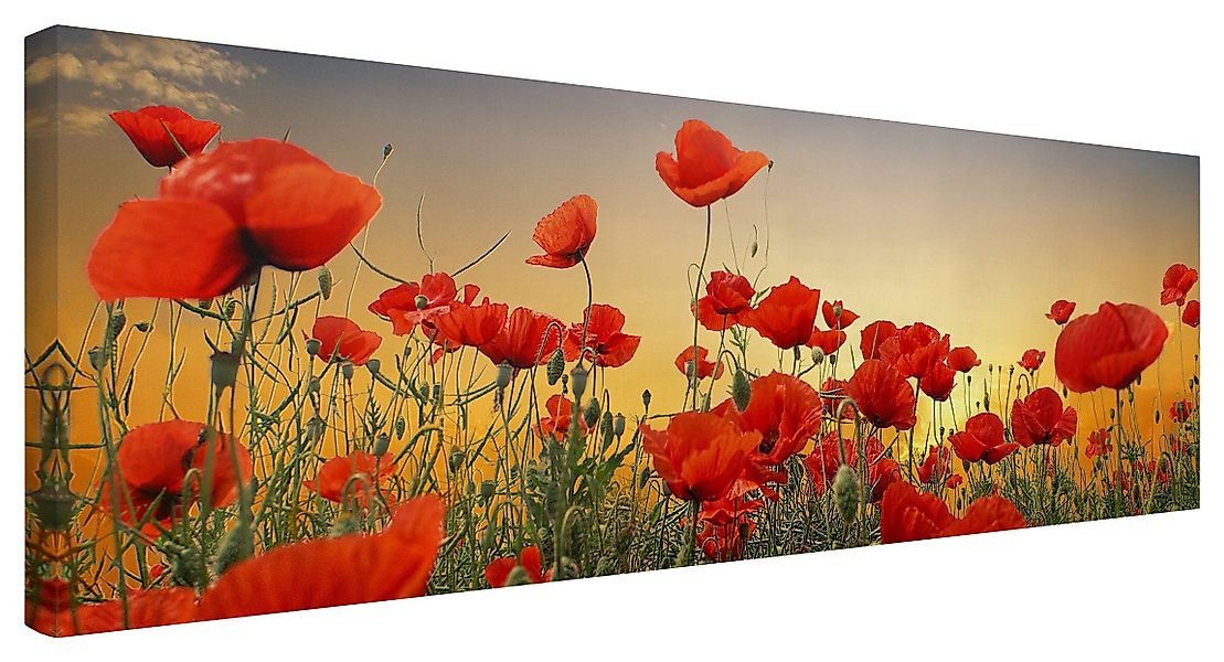Bilderdepot24 Leinwandbild Blumen Modern Mohnblumenfeld Sonnenuntergang günstig online kaufen