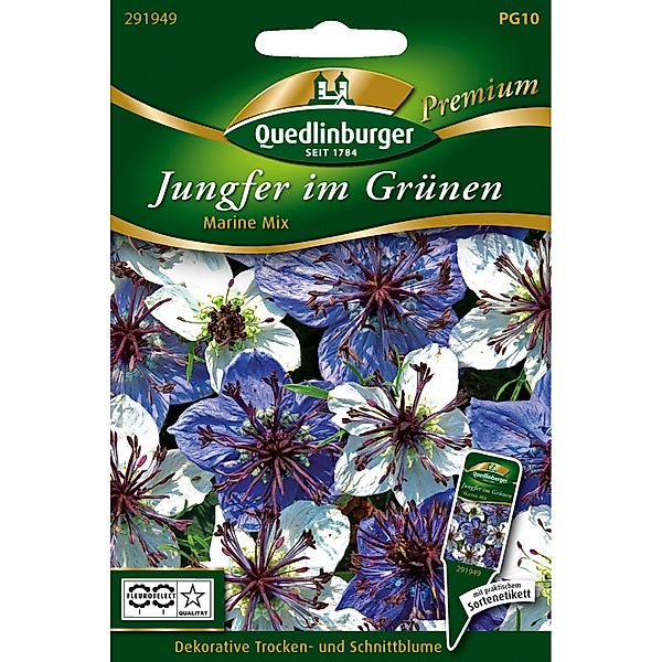 Quedlinburger Jungfer im Grünen ''Marine Mischung'' günstig online kaufen