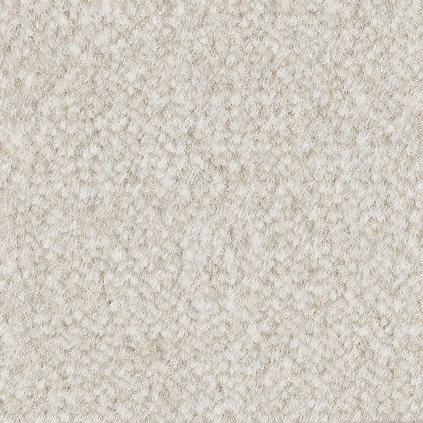 Bodenmeister Teppichboden »Jupiter, Velours - meliert, Made in Belgium«, re günstig online kaufen