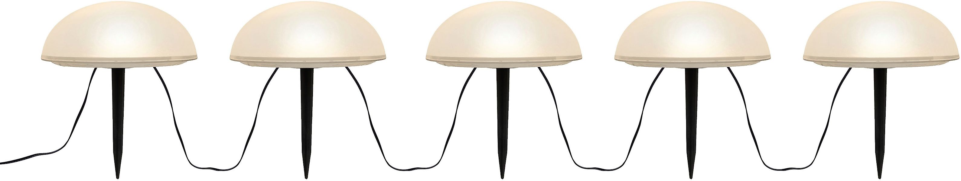 my home LED Solarleuchte Primala, LED-Solar günstig online kaufen