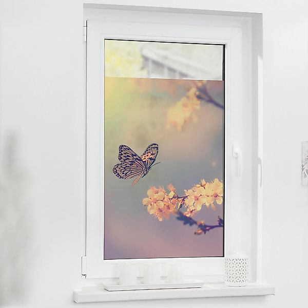 LICHTBLICK Fensterfolie Schmetterling Schmetterling Schmetterling orange B/ günstig online kaufen