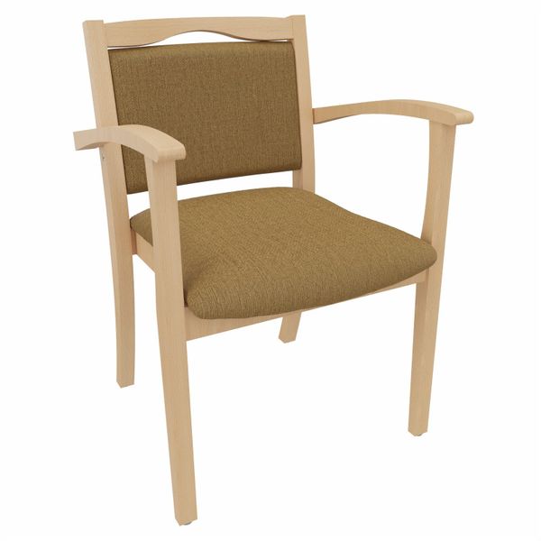 einrichtungsdesign24 Armlehnstuhl 4-Fußstuhl Holzstuhl mit Armlehnen günstig online kaufen