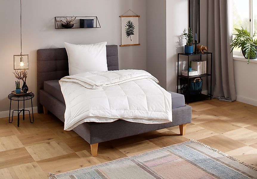 QUEENS TEXTILES Microfaserbettdecke Luxus, Bettdecke, 135x200 günstig online kaufen
