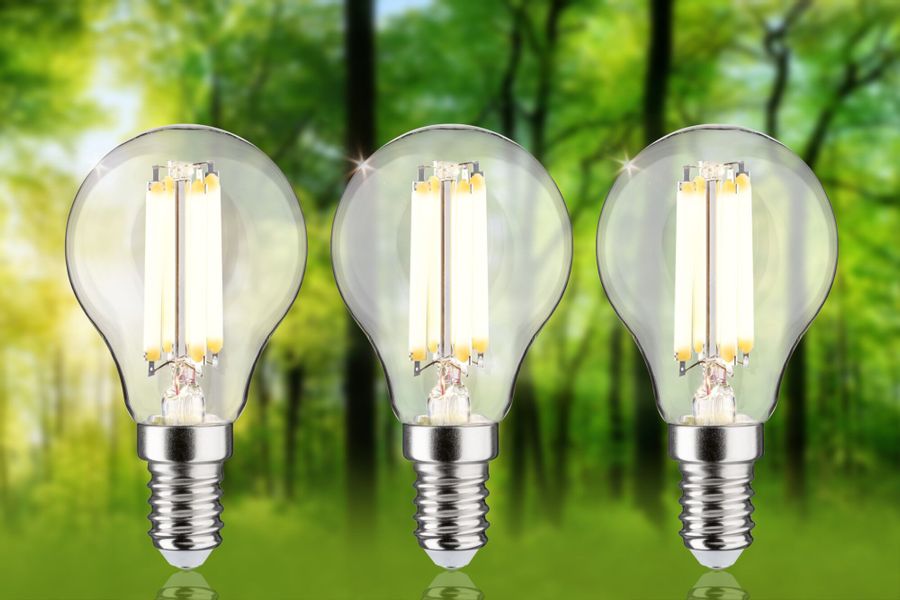 Paulmann LED-Leuchtmittel Eco-Line Filament 230V LED günstig online kaufen