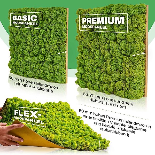 naturewalls Wandpaneel Moospaneele BASIC 50x50 - günstig online kaufen