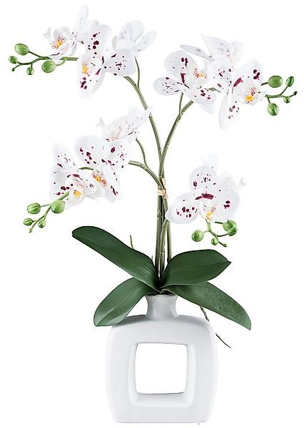 Kunstorchidee Orchidee Phalaenopsis Orchidee, my home, Höhe 55 cm, mit real günstig online kaufen