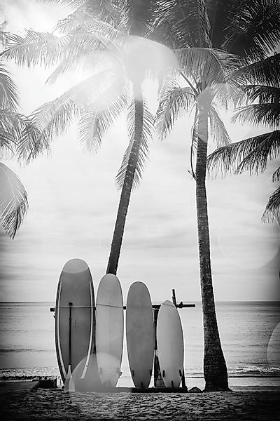 queence Acrylglasbild »Surfboards«, Kunst-Schwarz-Weiß-Strand-Palmen-Strand günstig online kaufen