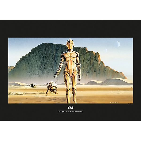Komar Bild "Star Wars Classic RMQ Droids" Star Wars 1 Stk. tlg. Wandbild zu günstig online kaufen