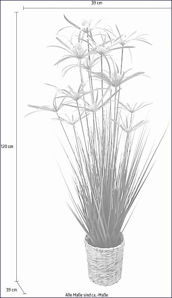 Kunstpflanze Zyperngras in Wasserhyazinthentopf Zyperngras, I.GE.A., Höhe 1 günstig online kaufen