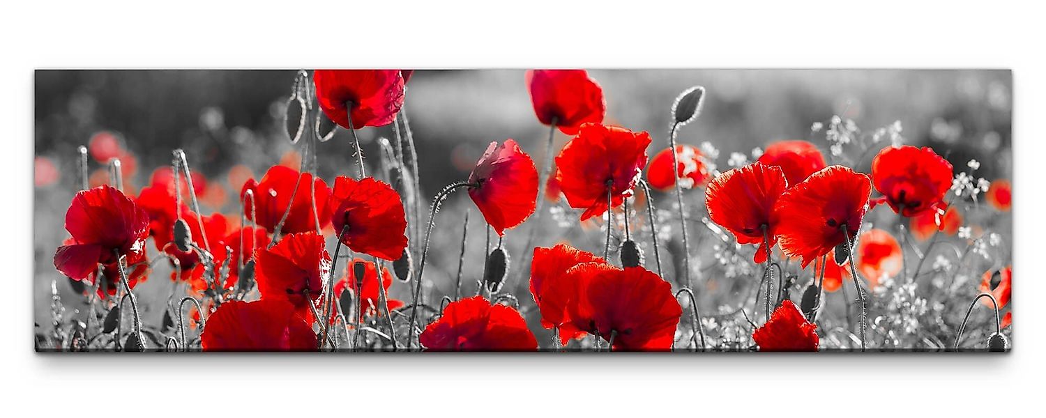 möbel-direkt.de Leinwandbild Bilder XXL Mohnblumen in günstig online kaufen