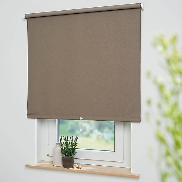 Springrollo Uni, Liedeco, verdunkelnd, mit Bohren, günstig online kaufen