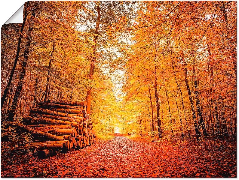 Artland Poster "Herbstlandschaft", Vier Jahreszeiten, (1 St.), als Alubild, günstig online kaufen