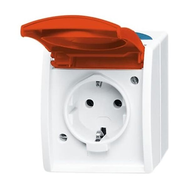 Busch-Jaeger Schuko-Steckdose mit EDV/Namensschild 20 EW/DVN-53 - 2CKA00208 günstig online kaufen