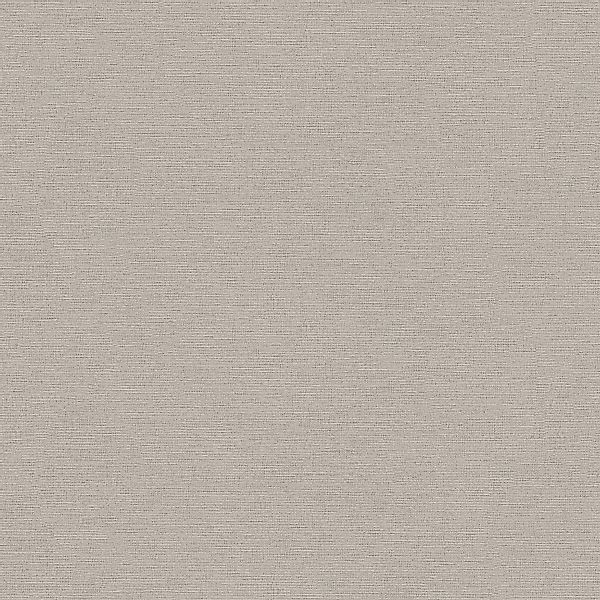 PROFHOME 306894-GU Ton-in-Ton Tapete Uni Matt Grau 0,53 m x 10,05 m 5,33 m2 günstig online kaufen