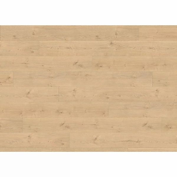 Living by Haro XL Laminat 8 mm Eiche Portland Puro günstig online kaufen