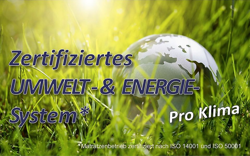 Beco Bettdecke + Kopfkissen »Sale, 2-Tlg. Set«, (Spar-Set), Bettdecke in 13 günstig online kaufen