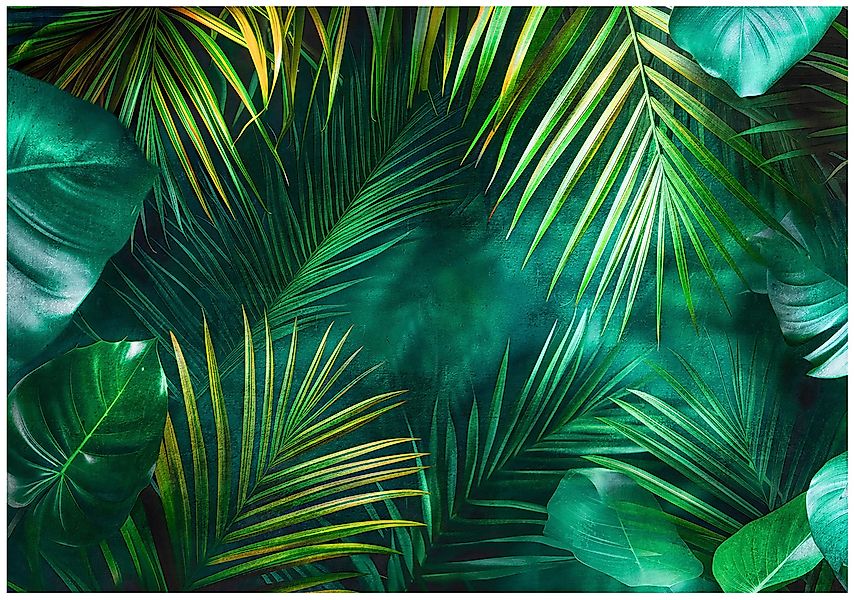 Wallarena Fototapete Blätter Tropisch Grün Vlies günstig online kaufen