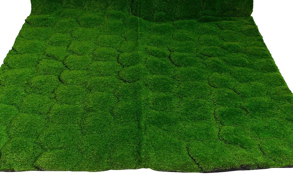 Künstliche Zimmerpflanze Moosmatte Moos, Botanic-Haus, Höhe günstig online kaufen
