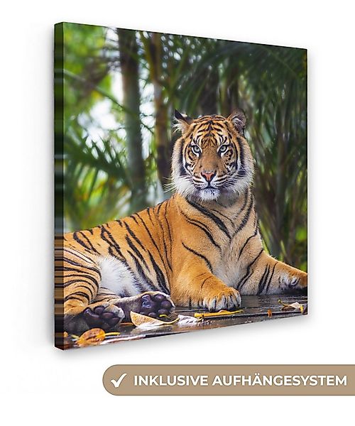 OneMillionCanvasses® Leinwandbild Tiger - Tiere - Wald - Dschungel, Fotodru günstig online kaufen