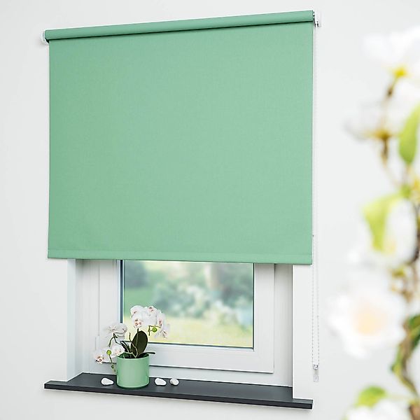 Seitenzugrollo Uni, Liedeco, verdunkelnd, mit Bohren, günstig online kaufen