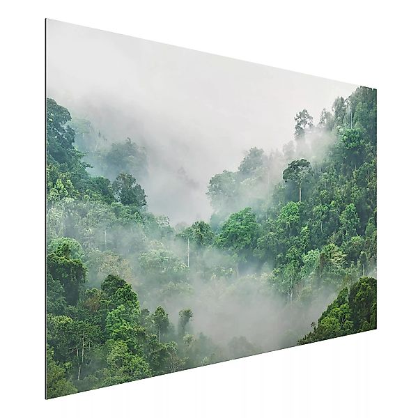 Alu-Dibond Bild Natur & Landschaft - Querformat 3:2 Dschungel im Nebel günstig online kaufen