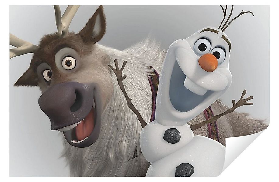 Wallarena Leinwandbild Kinderzimmer Mädchen Frozen Wandbild XXL Leinwandbil günstig online kaufen