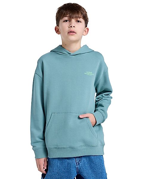 Element Hoodie Skateboard Co günstig online kaufen