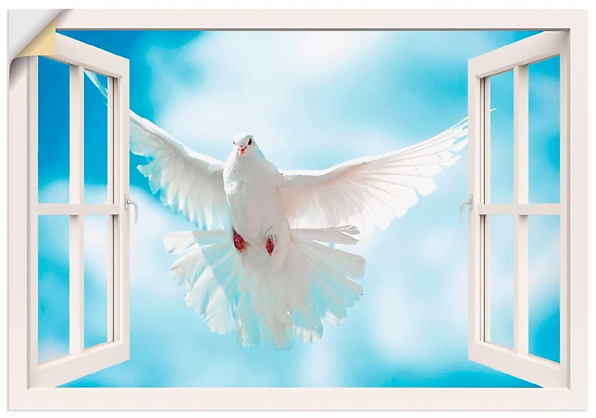 Artland Wandbild "Fensterblick Taube vor der Sonne", Vögel, (1 St.), als Le günstig online kaufen