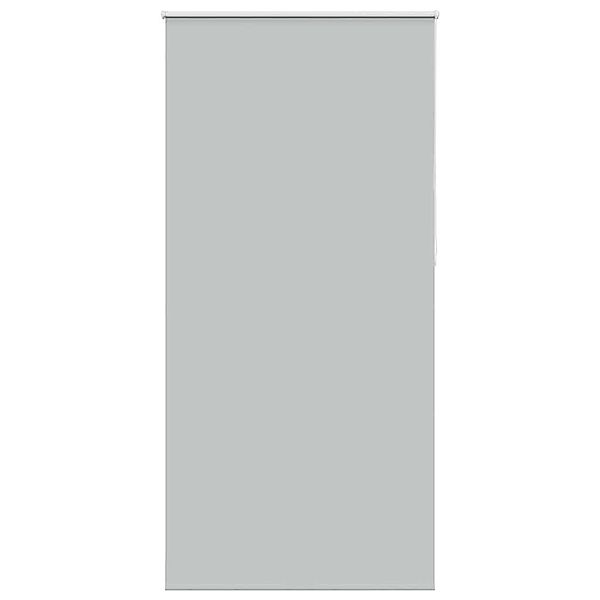 Rollo Verdunkelungsrollo Hellgrau 95x210 cm Stoffbreite günstig online kaufen