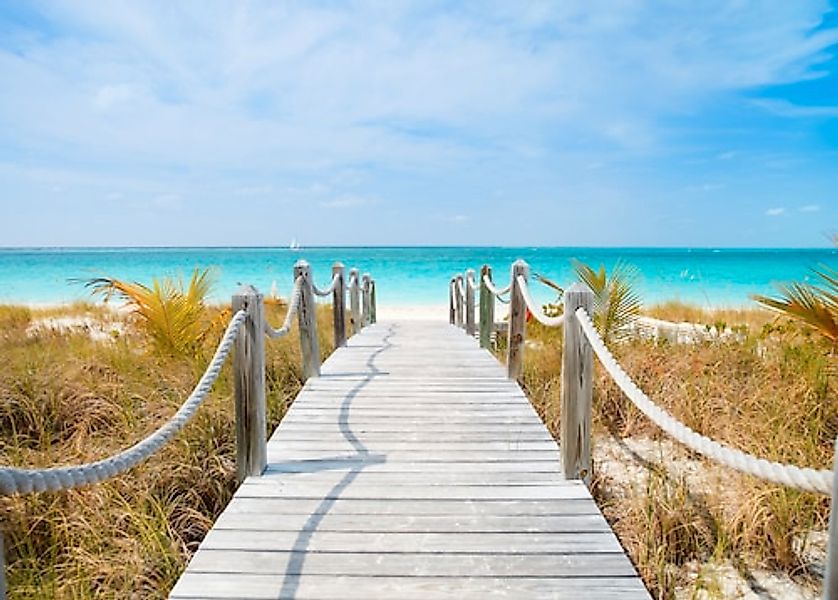 Papermoon Fototapete »Dunes Carribean Beach« glatt günstig online kaufen