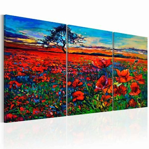 artgeist Wandbild Valley of Poppies mehrfarbig Gr. 60 x 30 günstig online kaufen