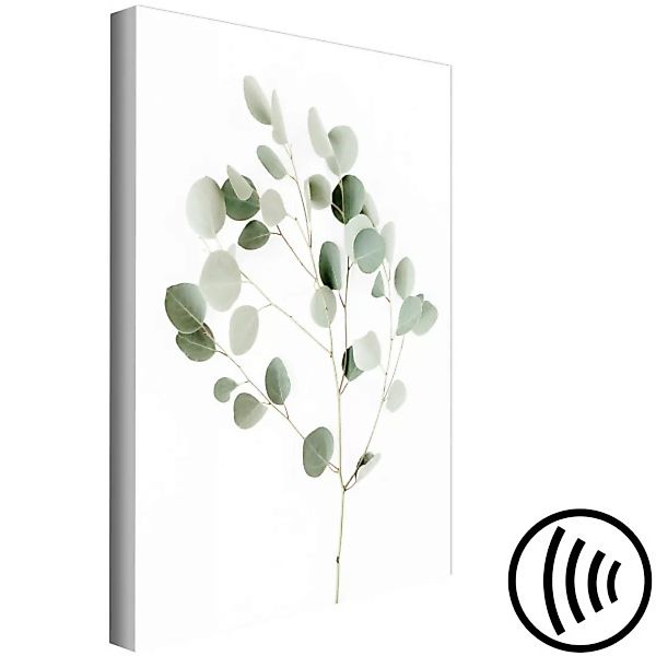 Leinwandbild Silver Eucalyptus XXL günstig online kaufen