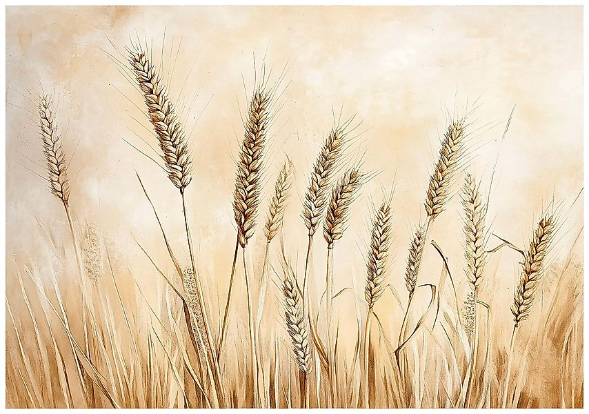 Wallarena Fototapete Gerste Natur Wiese Vlies günstig online kaufen