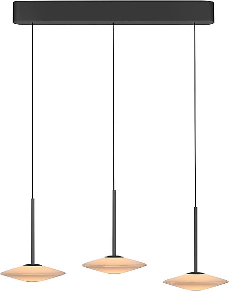 Paul Neuhaus LED Pendelleuchte »ELIPSA« LED-Board 1 Stk. Warmweiß Dimmfähig günstig online kaufen