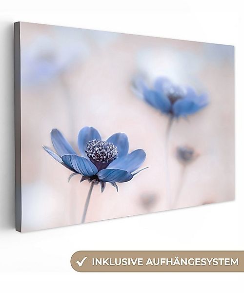 OneMillionCanvasses® Leinwandbild Kosmos - Blumen - Natur - Blau, Fotodruck günstig online kaufen