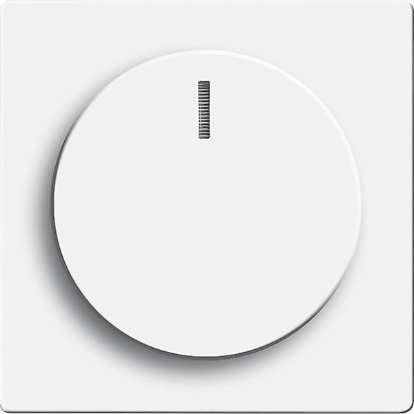 Busch-Jaeger Zentralscheibe dav/stws für Drehdimmer 6540-84-102 - 2CKA00659 günstig online kaufen