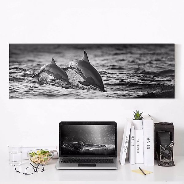 Leinwandbild Schwarz-Weiß - Panorama Zwei springende Delfine günstig online kaufen