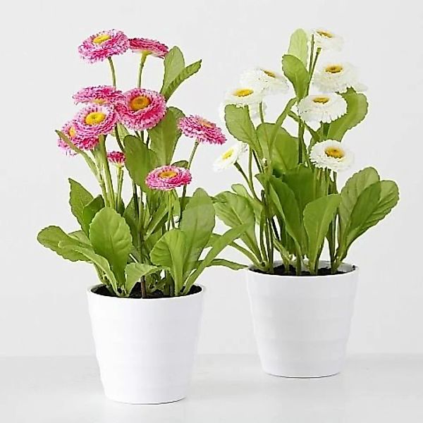 Boltze Kunstpflanzen & -blumen Topfpflanze Bellis H 30 cm sortiert (1 Stück günstig online kaufen