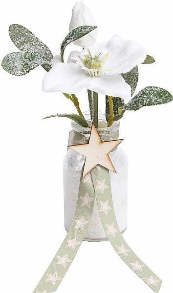 Botanic-Haus Künstliche Zimmerpflanze "Mistel-Arrangement" günstig online kaufen