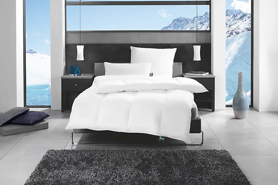 f.a.n. Schlafkomfort Gänsedaunenbettdecke »f.a.n. Alaska«, extrawarm, (1 St günstig online kaufen